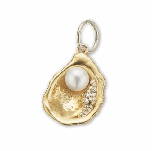 Palas Brs+slv the world is your oyster charm