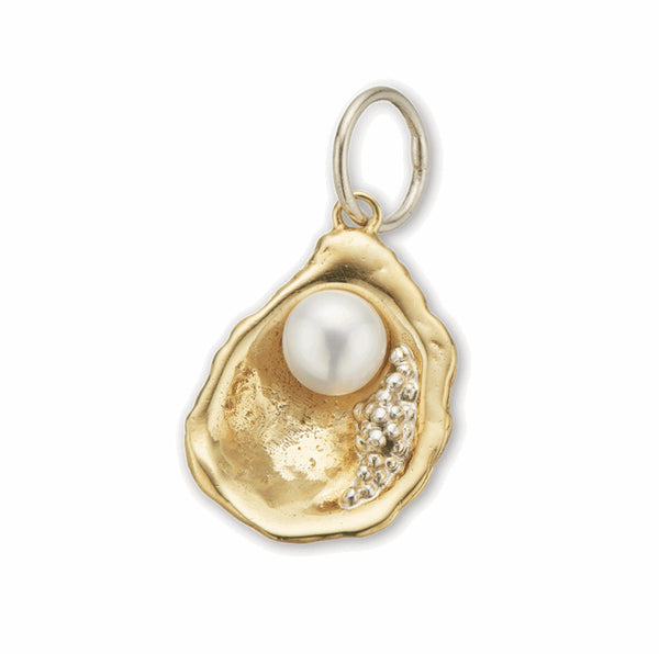 Palas Brs+slv the world is your oyster charm