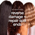 Bondi Boost Bond Builder Conditioner Bondi Boost James St Boutique